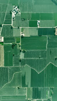 中国发展高层论坛年会开幕；多部门负责人共话‘十五五’新机遇。