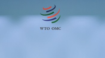 市场信心与增长逻辑:探寻消费与贸易背后的深层脉动 新闻 市场信心与增长逻辑:探寻消费与贸易背后的深层脉动 新闻