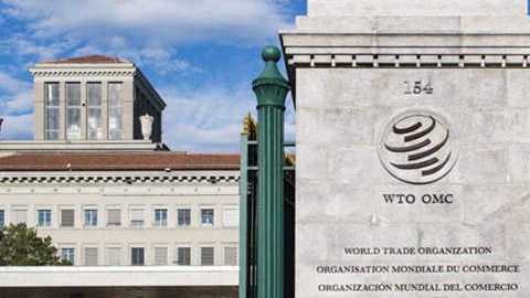 政策深度解读文档|获取官方立场文件核心途径 新闻 政策深度解读文档|获取官方立场文件核心途径 新闻