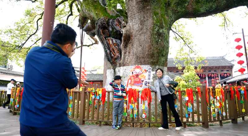  想体验徽派美学吗？新安江山水画廊的游览深度解析 文化旅游