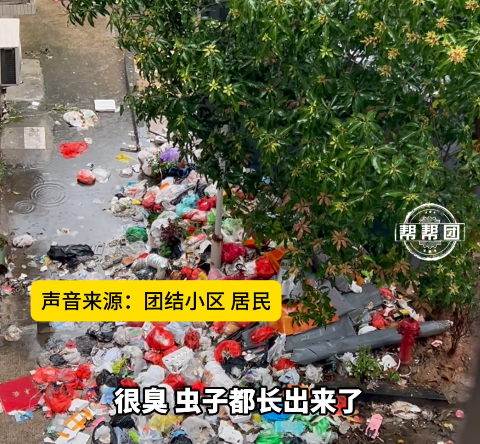  社区代管物业困局：法律边界、费率博弈与业委会自治路径深度解析 房产家居