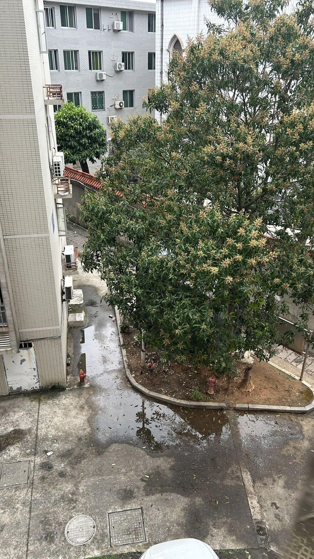  社区代管物业困局：法律边界、费率博弈与业委会自治路径深度解析 房产家居