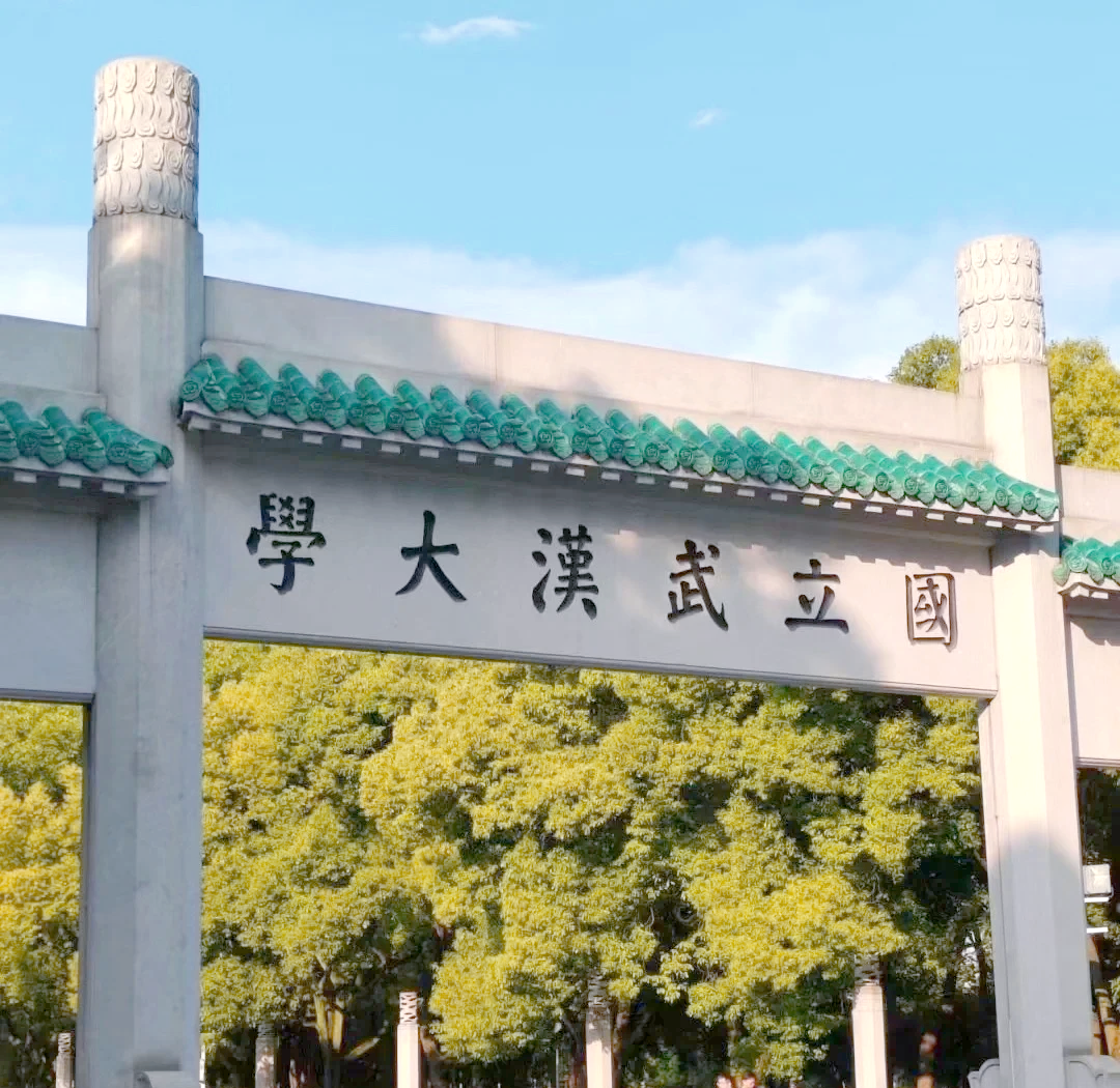  武汉大学计算机双盲复试机制深度解析：机试零分背后的选拔逻辑 教育招生