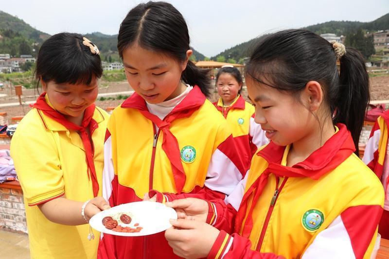  非遗研学新范式：毕节丁家寨基地「分层递进式」课程体系深度解析 教育招生