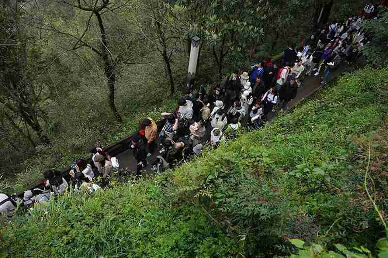 从6万到267万:齐云山文旅跃迁的技术复盘与底层逻辑 文化旅游