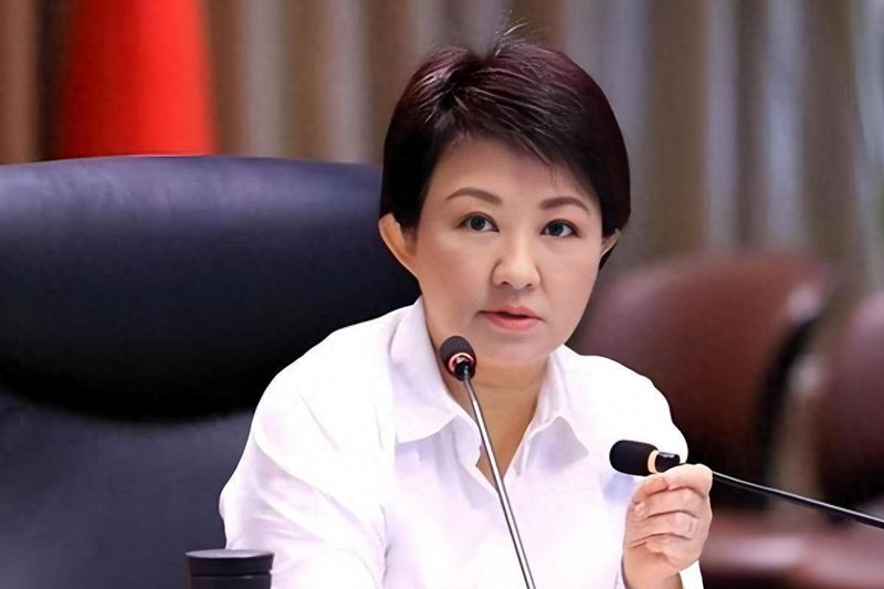 从"妈妈市长"到激进化：卢秀燕政治蜕变的技术性分析