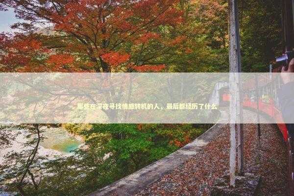 那些在深夜寻找情感转机的人，最后都经历了什么 情感心理