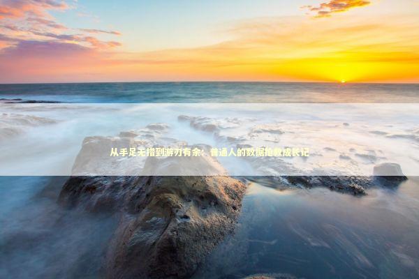 从手足无措到游刃有余：普通人的数据抢救成长记 IT技术