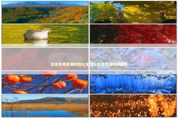 日本首相更替的舆论关注与信息传播机制解析 新闻