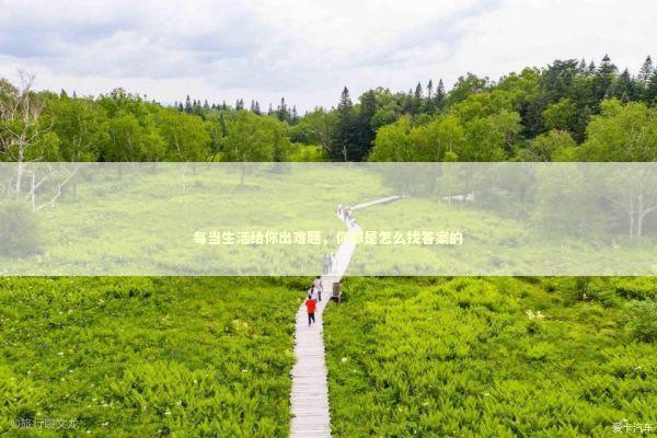 每当生活给你出难题，你都是怎么找答案的