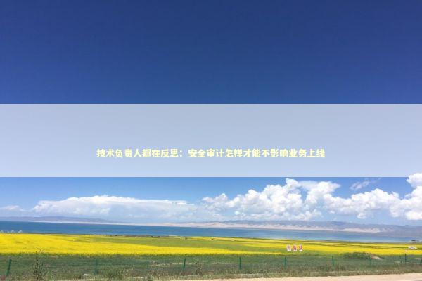 技术负责人都在反思:安全审计怎样才能不影响业务上线 技术负责人都在反思:安全审计怎样才能不影响业务上线 企业服务