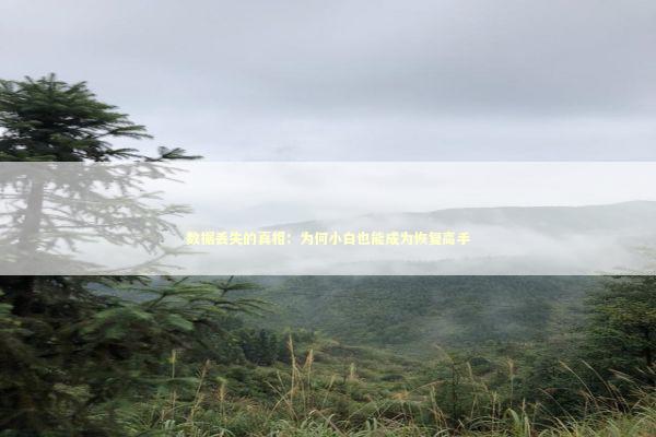 数据丢失的真相：为何小白也能成为恢复高手